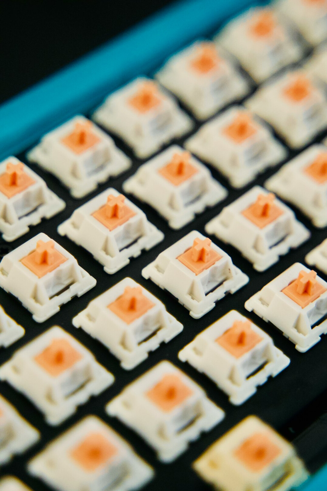 Close-up macro photo of a mechanical keyboard